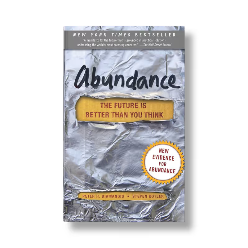Abundance book
