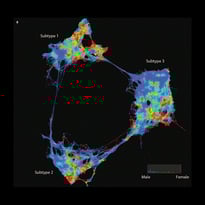 Graph showing subtypes of diabetes