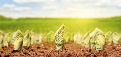 Money Growing