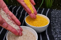 Biofortified Rice