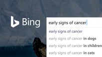 Pancreatic Cancer Search Engines