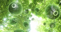 artificial photosynthesis