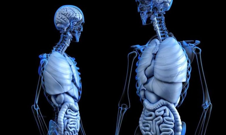 Road to Singularity - Liver Tumor Treatment
