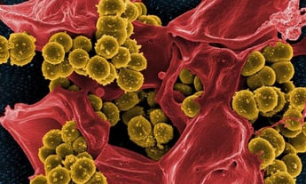 MRSA