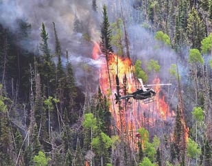 Wildfires