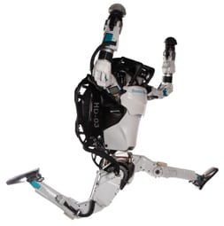 atlas_img