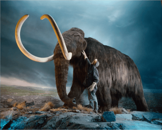 wooly-mammoth-img