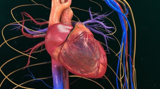 heart cells chemical gladstone institutes