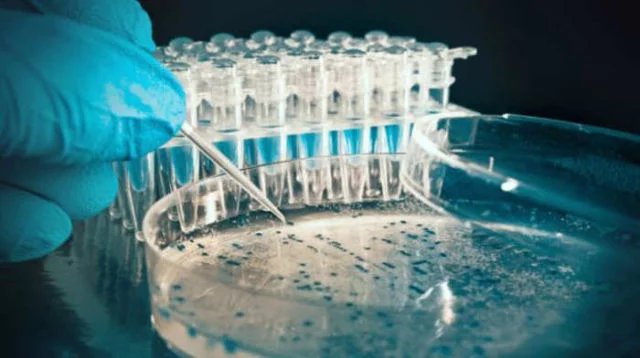 Genetically Engineered Bacteria Produces Fuel