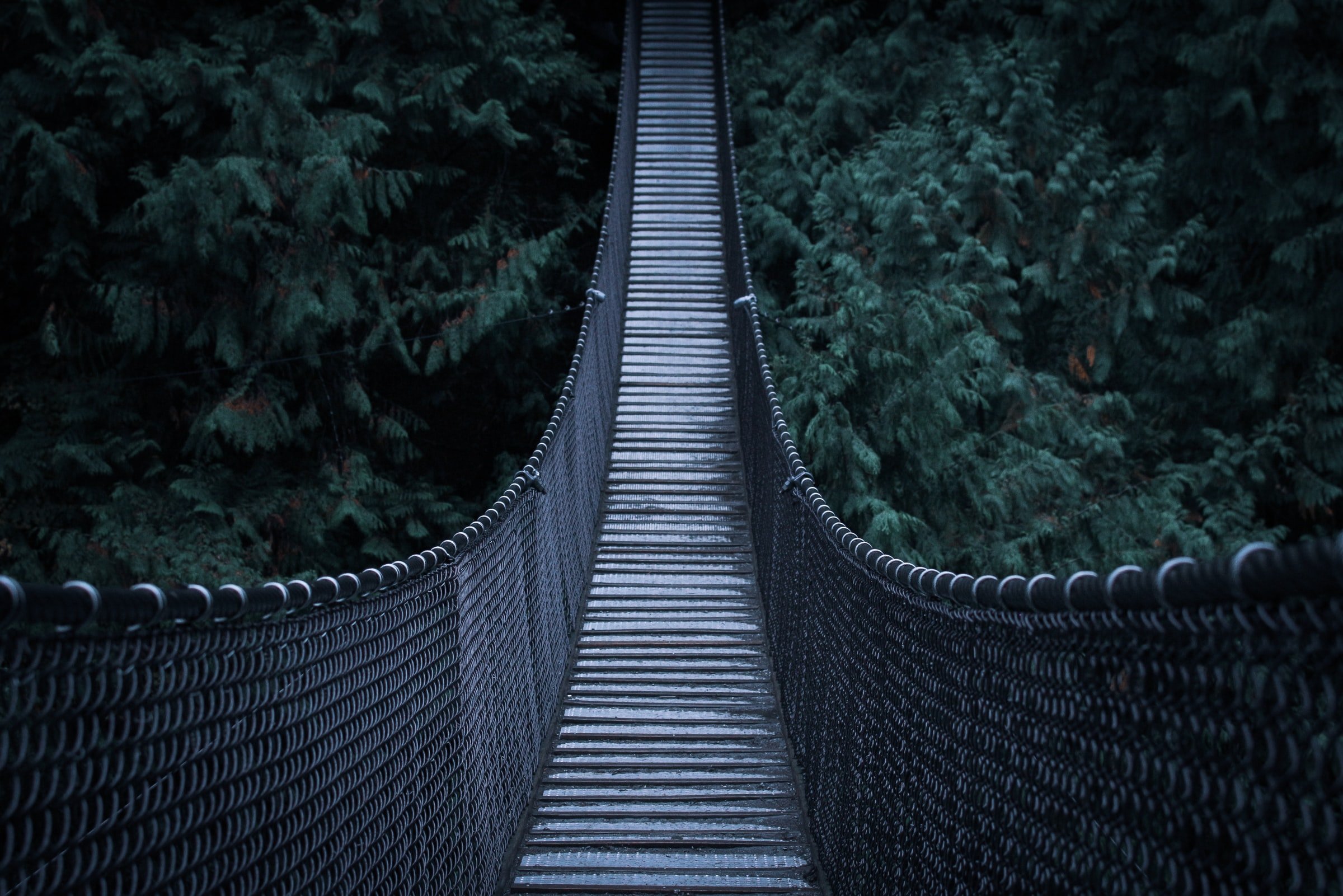 suspension bridge in Lynn Canyon, North Vancouver