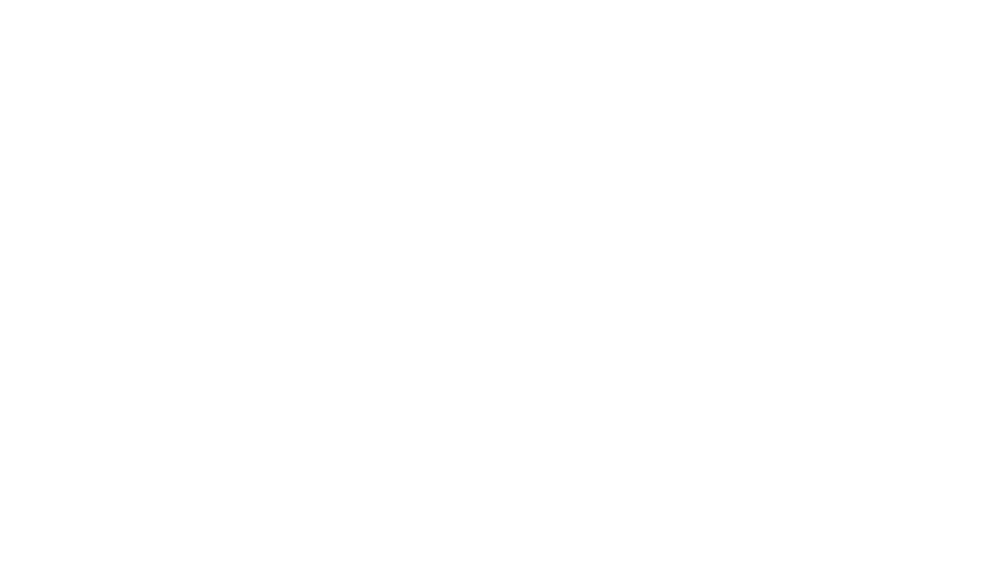 hli-logo-1