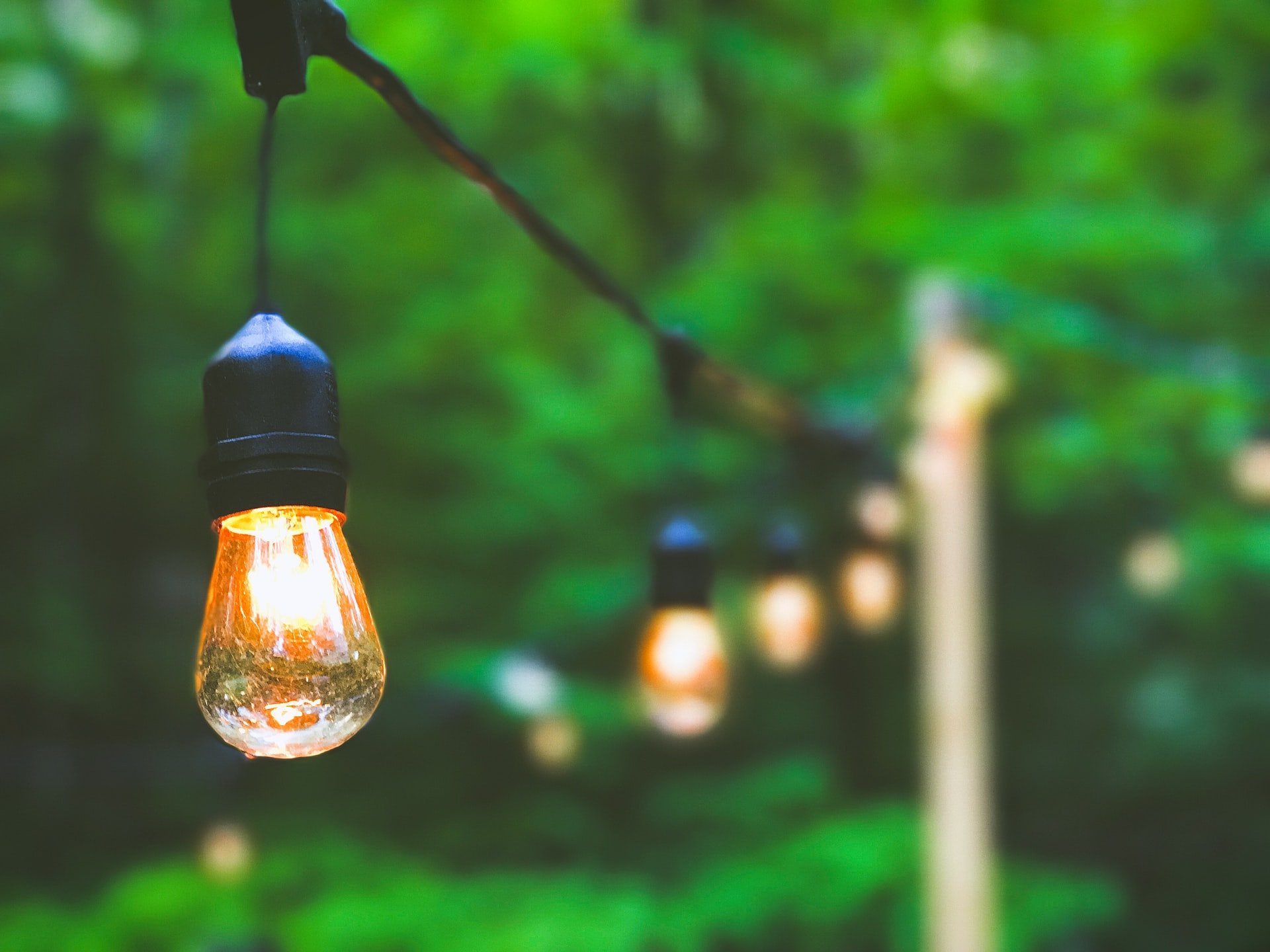 string of hanging lightbulbs